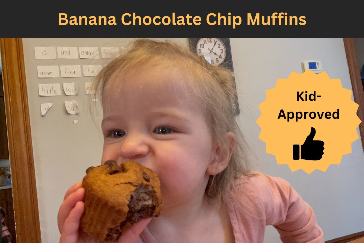 Banana Chocolate Chip Muffins