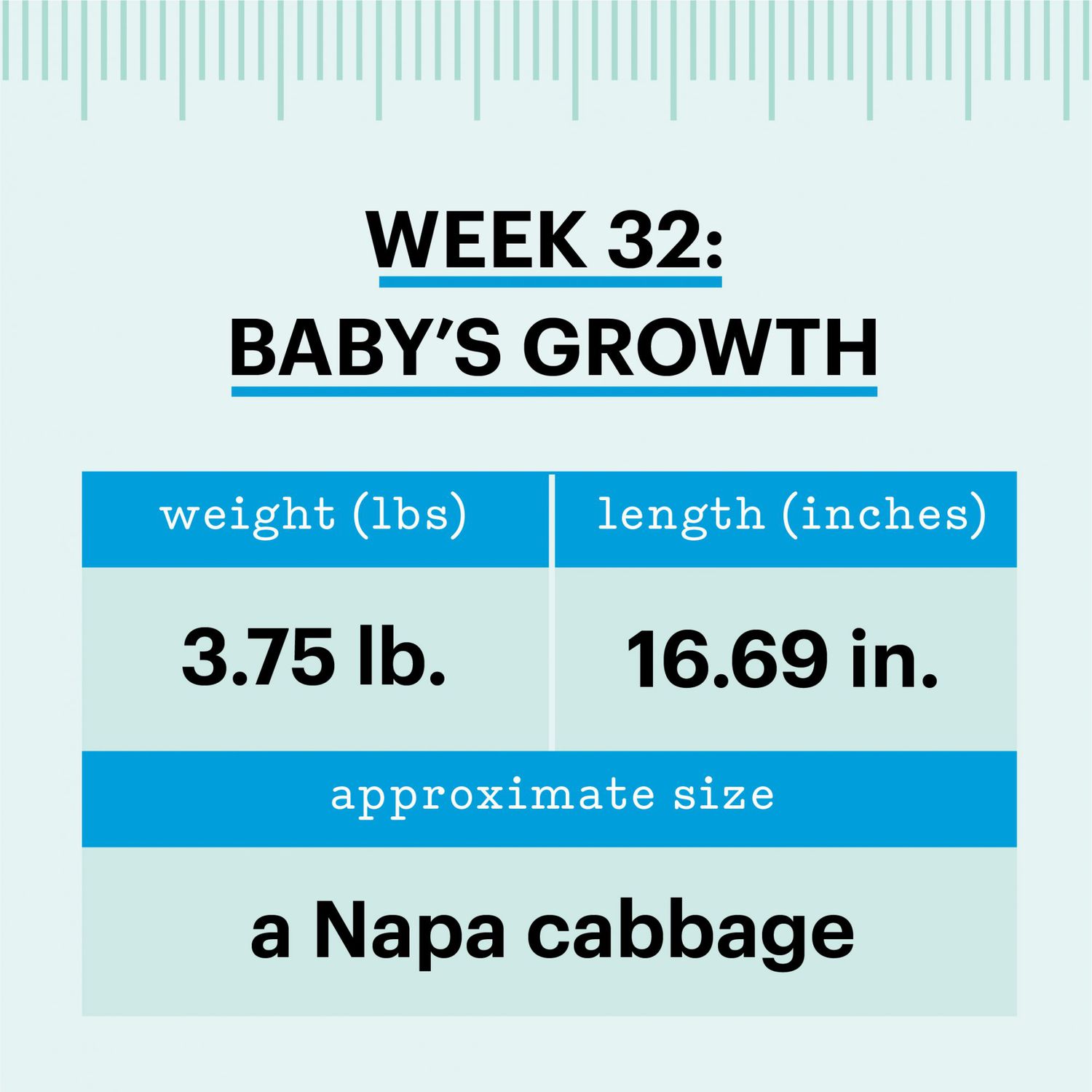 Baby number 5 and Week 32 Update
